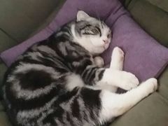 -惠康宠物医院(华能路店)