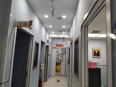 -纳吉亚猫专科动物诊疗中心(蒋宅口分院)