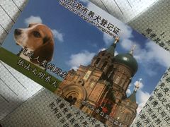 -宠颐生宠物医院·综合诊疗(先锋分院)