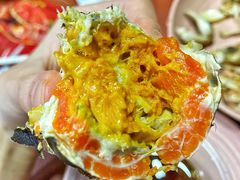 阳澄湖大闸蟹-黄记大闸蟹专卖店·活蟹·醉蟹