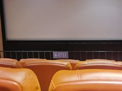 -华美国际影城(旧宫永辉店)