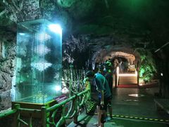 -青岛葡萄酒博物馆