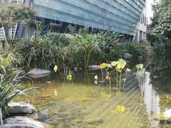 -活水公园