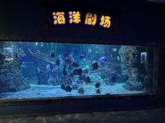 -南昌海洋公园