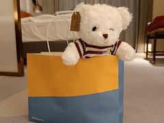 -成都武侯祠希尔顿惠庭酒店