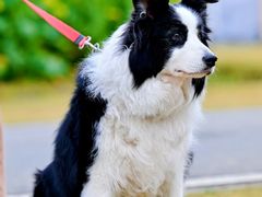 -中国天府农业博览园