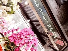 -豆豆花艺(新光天地店)