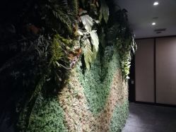 -禾颜社·精致美容