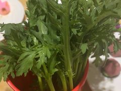 -清真军邺·金富苑肥牛(石坡街旗舰店)