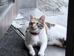 -Again Coffee Roaster(香蜜湖店)