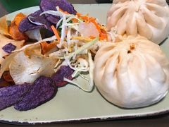 -奥兰多迪士尼动物王国乐园