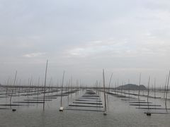 -北岐滩涂