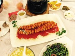 -田园小观园(武大店)