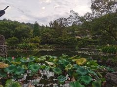 -杭州雅谷泉山庄酒店-餐厅