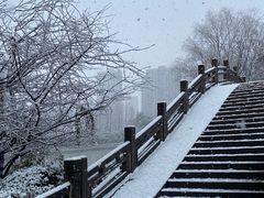-杭州城北体育公园