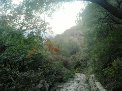 -阳台山自然风景区