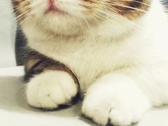 -小时光咖啡馆(开森度假森林店)