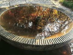-上海瑞金洲际酒店
