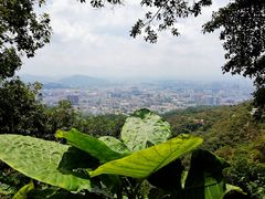 -广州市白云山风景名胜区