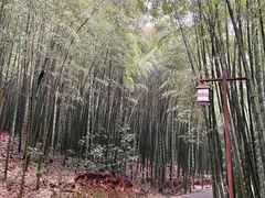 -苏州环秀晓筑养生度假村