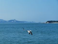 -刘公岛景区