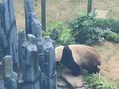 -大连森林动物园