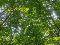 -桤木河湿地公园