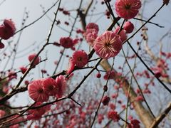 -石湖景区