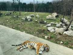 -西安秦岭野生动物园