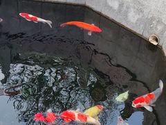 -西安市广仁寺