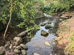 -重庆彩云湖湿地公园