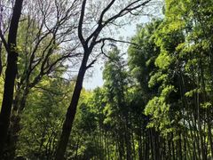-虞山风景区