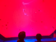 -沈阳海洋探索中心