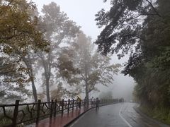 -广州市石门国家森林公园