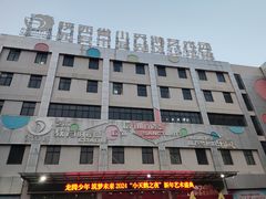 -陕西省小天鹅艺术团