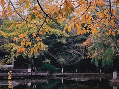 -望江楼公园