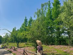 -白鹭湾湿地公园