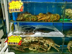 水产区-蚝专家(北滘店)