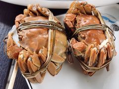 -徐岛主·特色农家乐(阳澄湖莲花岛店)