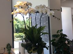 -简屋书店