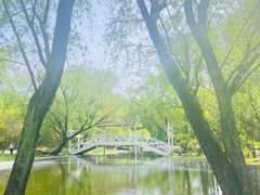 -上海共青森林公园