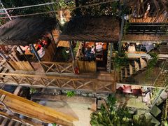 -Rainforest