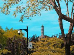 -北坞公园