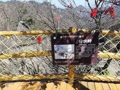 -老界岭旅游度假区