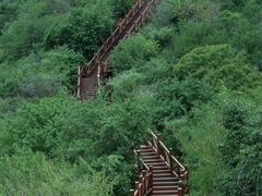 -大岭沟猕猴桃谷风景区