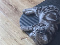 -Top Pilates studio 普拉提健身会所