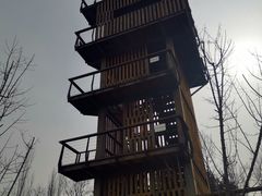 -东郊湿地公园