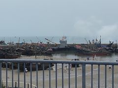 -日照海滨国家森林公园