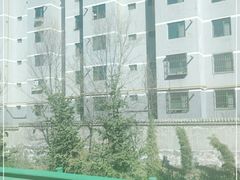 -丹噶尔古城