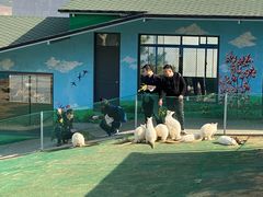 -西霞口神雕山野生动物世界